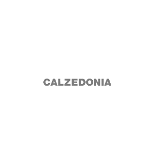 logo-calsedonia